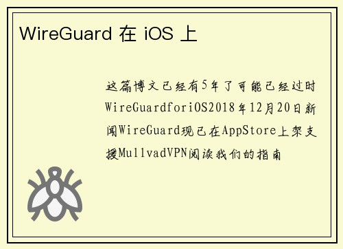 WireGuard 在 iOS 上 